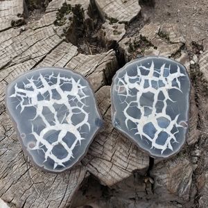 Split Pair Septarian Nodule